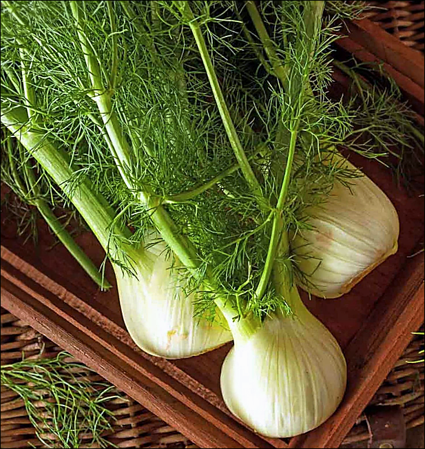 Raw Apple-Fennel Salad